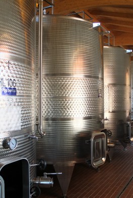 Winemaking and aging in castel di pugna 