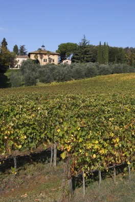 Castel di Pugna winery and estate